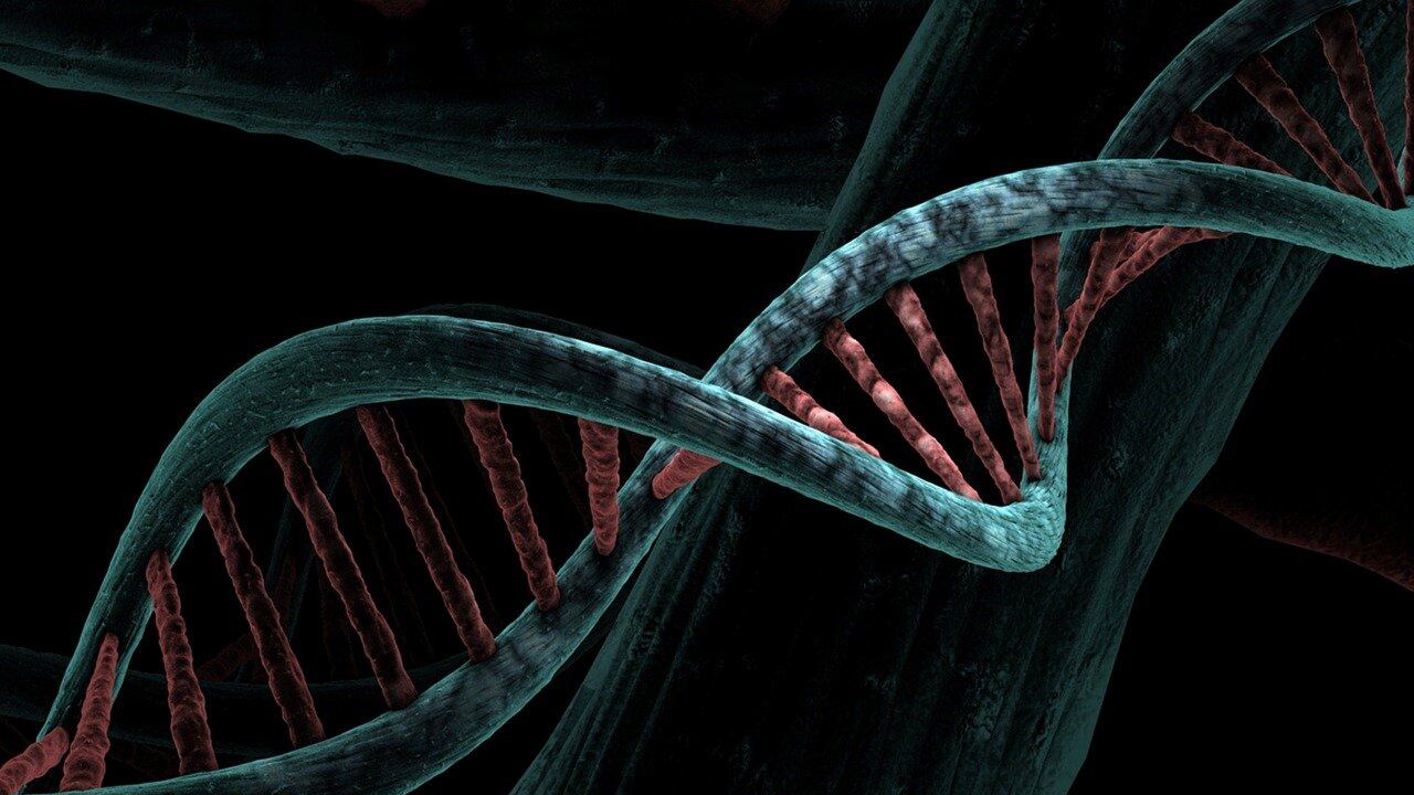 Sviluppato un test del sangue low cost per la diagnosi precoce simultanea di più malattie