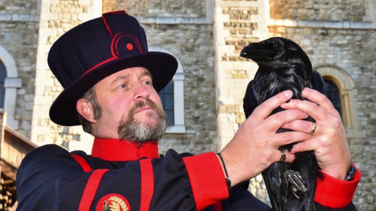 "Che fatica essere il Signore dei corvi Se volano via, il Regno crolla..."