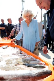 Il Principe Carlo e Camilla Parker Bowles: foto 8