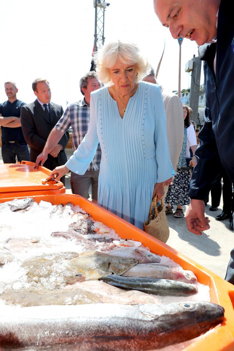 Il Principe Carlo e Camilla Parker Bowles: foto 8