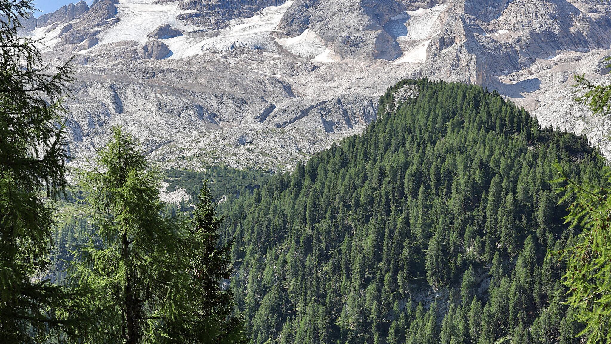 Si scatenano i giustizialisti dell'ecologismo. "Governo inerte, intervengano le procure"