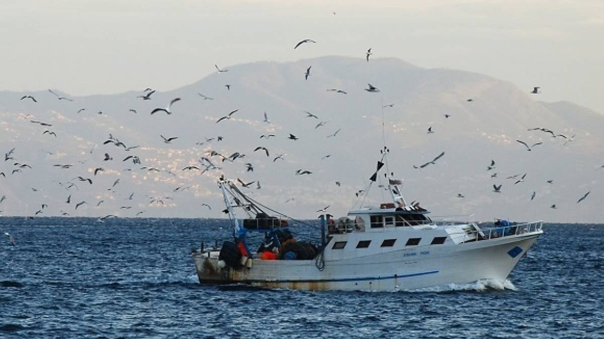 "Norme che uccidono la pesca". L'Italia contro il nuovo documento Ue