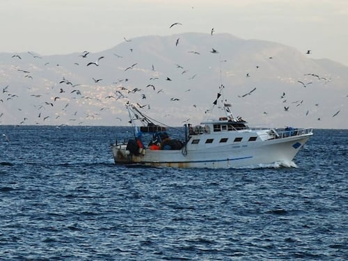 "Norme che uccidono la pesca". L'Italia contro il nuovo documento Ue