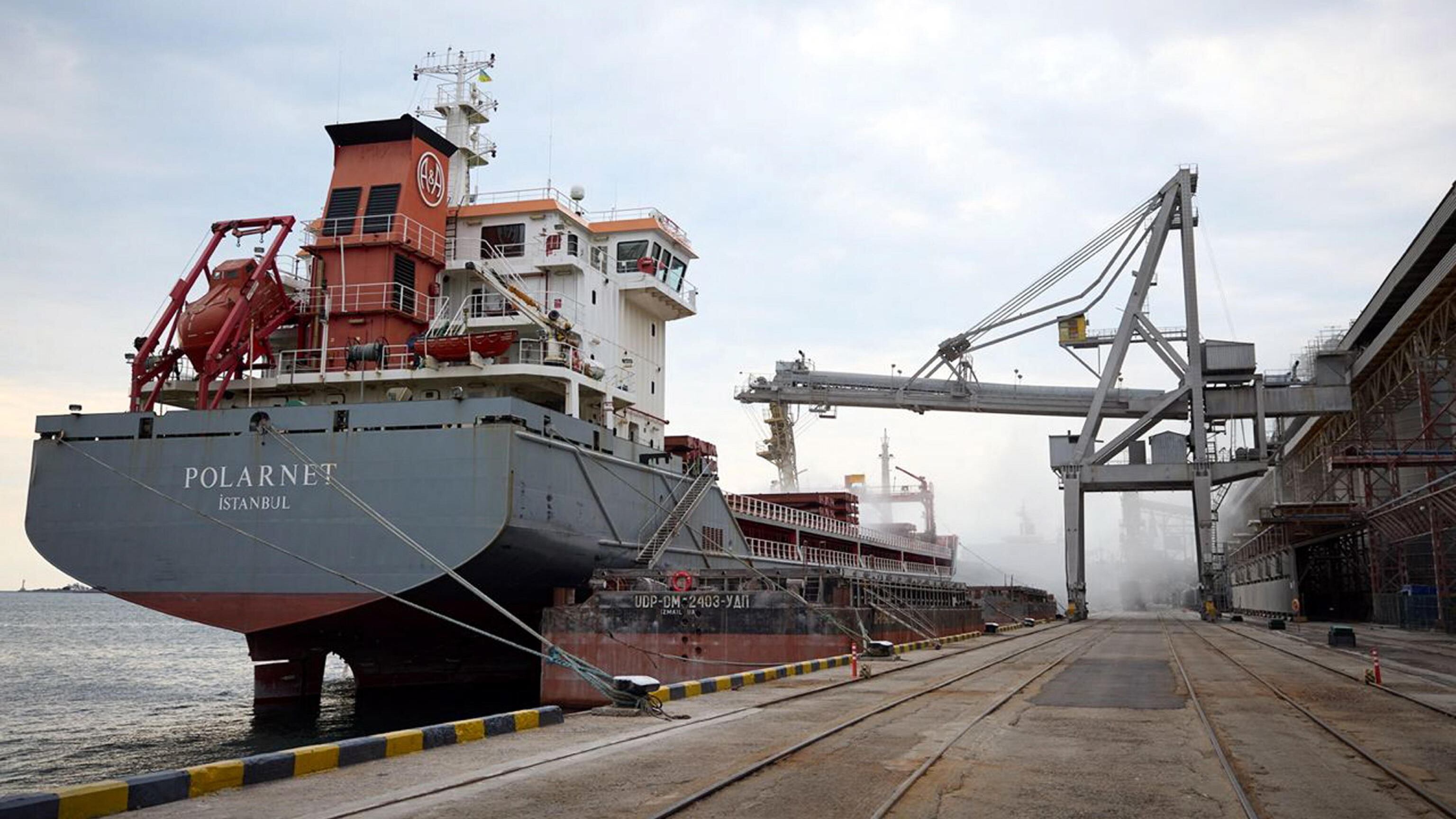 Grano ucraino, la prima nave non sbarca: "Troppi 5 mesi"