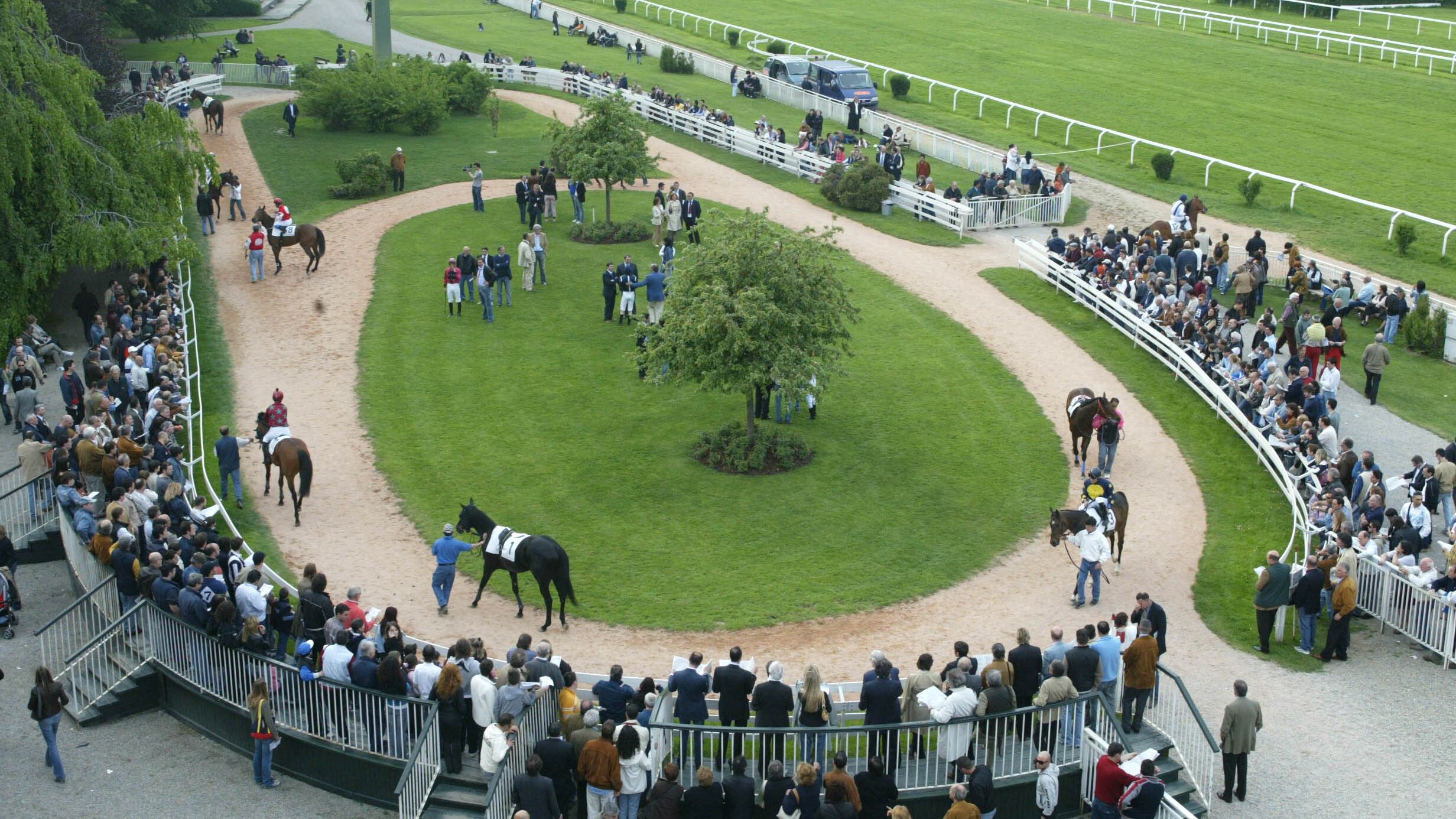 Cavalli e calici di vino, gran finale in pista