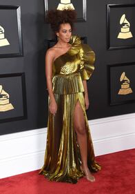 Grammy 2017, i look più sexy sul red carpet 28