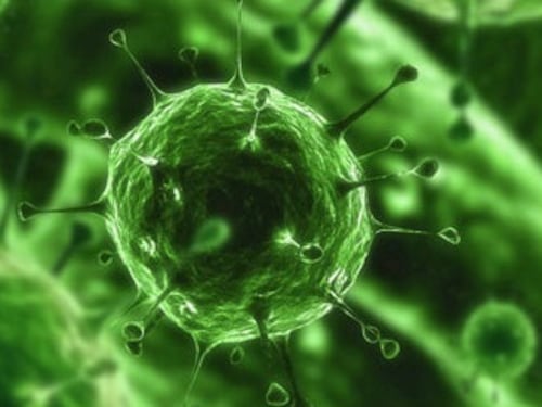 Superbatteri resistenti, attenti ai cellulari