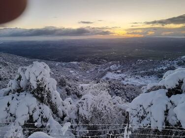 Freddo e neve, in Sardegna si stringe la morsa del gelo 5