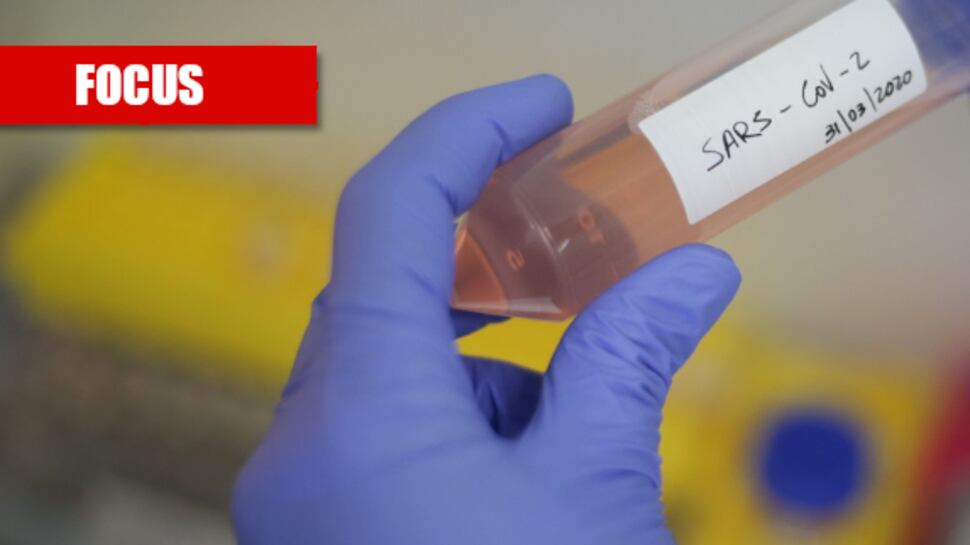 L'origine, le mutazioni e la fine: tutti i misteri sul coronavirus