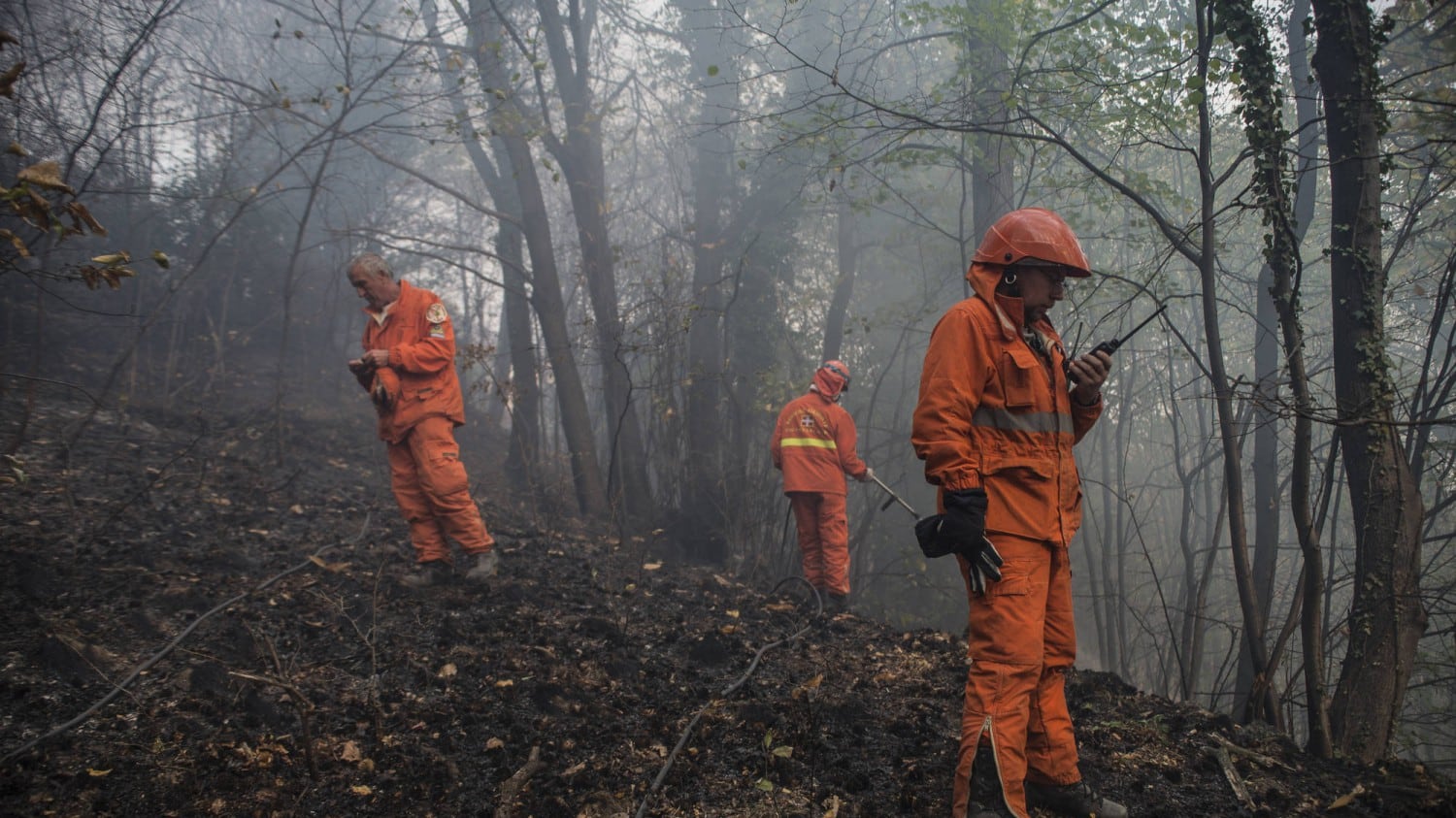 Incendi in Val di Susa. Chiamparino chiede stato di emergenza