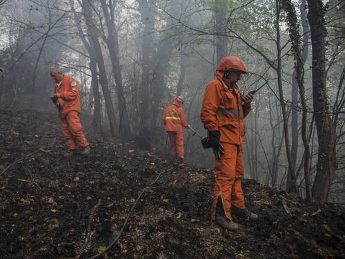 Incendi in Val di Susa. Chiamparino chiede stato di emergenza