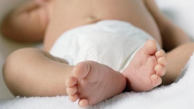 Dieta vegana alla neonata. E il medico li denuncia: "La bambina non cresce"
