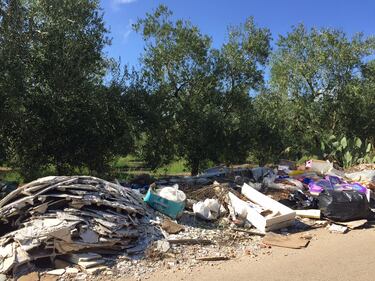Bitonto e le campagne nel degrado 12
