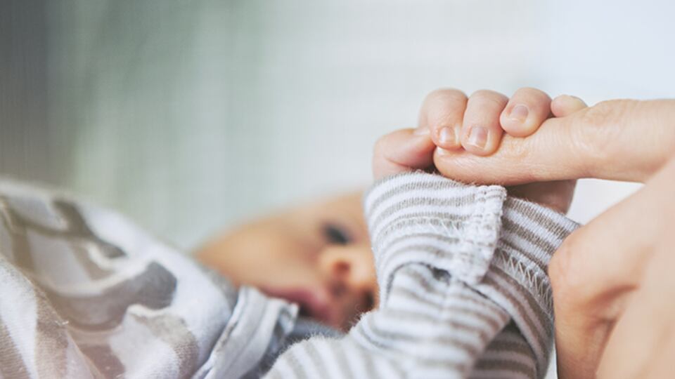 Usa, trasfusioni e trapianto di cellule staminali in utero: è la prima volta al mondo