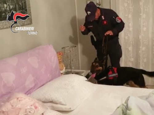 Rivoli, 20enne picchiato per due euro: in manette una baby gang