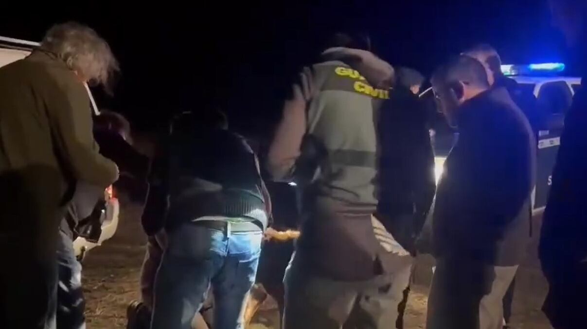 "Mamma, arrivano". 27enne sbranata da 5 cani durante la passeggiata