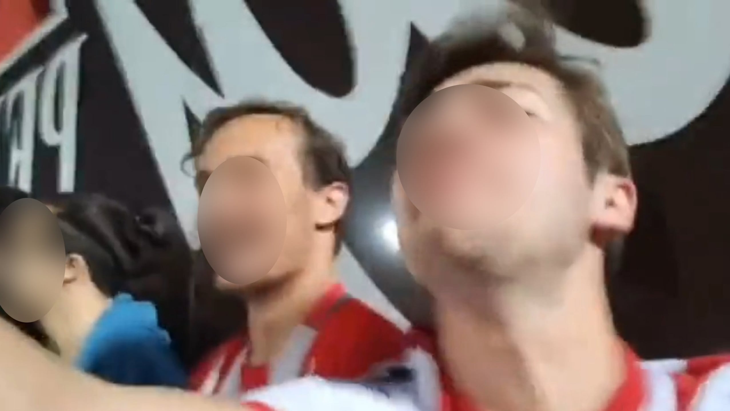 "Scimmie calabresi". È bufera sul tifoso vicentino