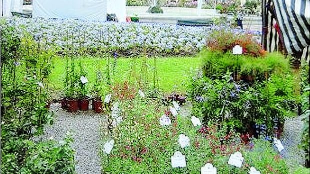 Le biciclette e i fiori fanno un pienone da 50mila persone
