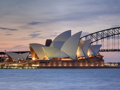 Australia, stretta contro le ong animaliste: equiparate a "gruppi terroristi"
