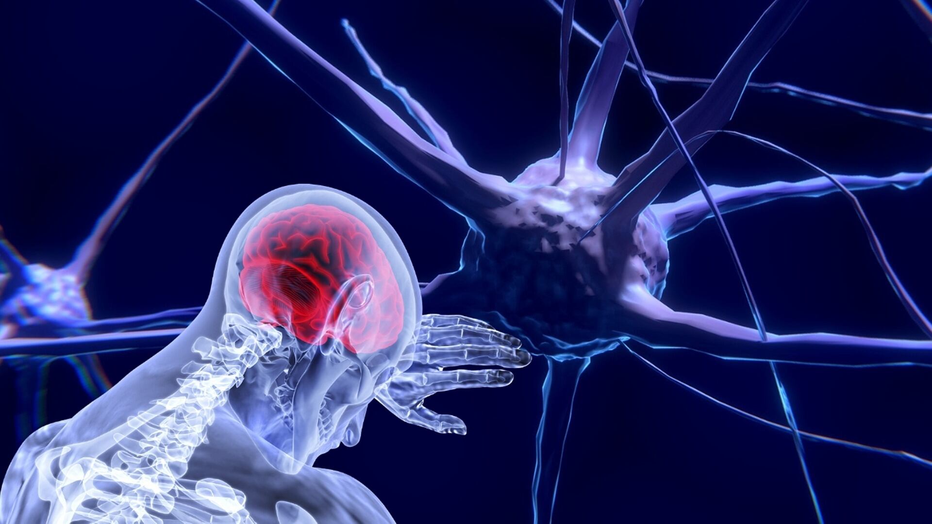 C'è un "pulsante" per ibernare il cervello: ecco cosa dicono gli scienziati