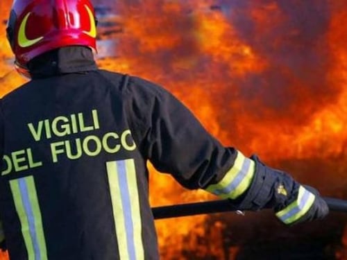 Orrore nel Palermitano, cane legato e bruciato vivo