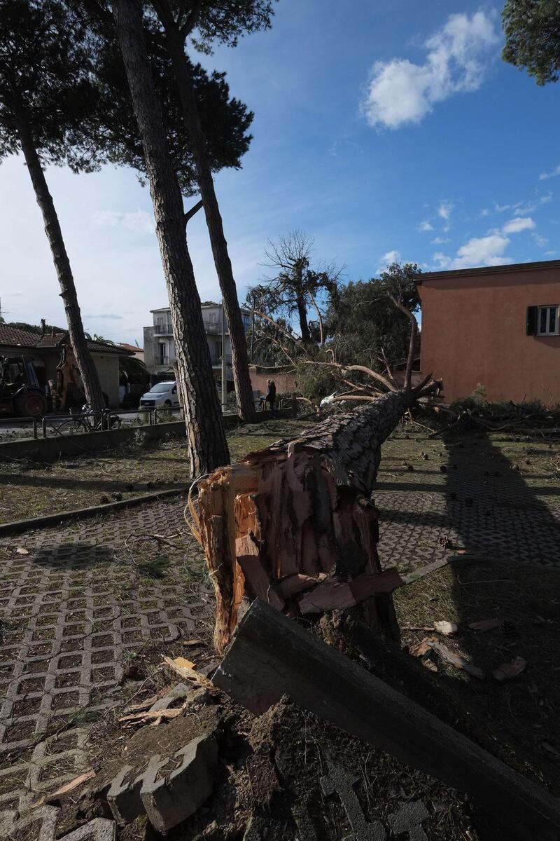 Il maltempo distrugge la pineta di Forte dei Marmi 13