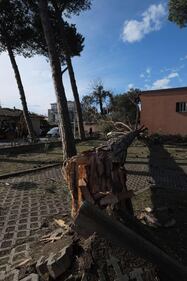 Il maltempo distrugge la pineta di Forte dei Marmi 13