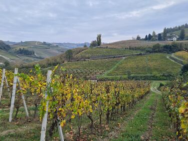 Langhe e Roero, le terre del Barolo e del Barbaresco 1