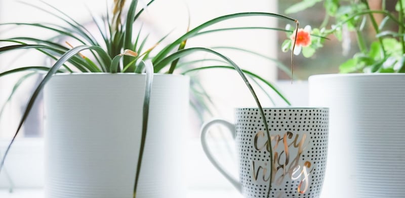 Tazza decorata