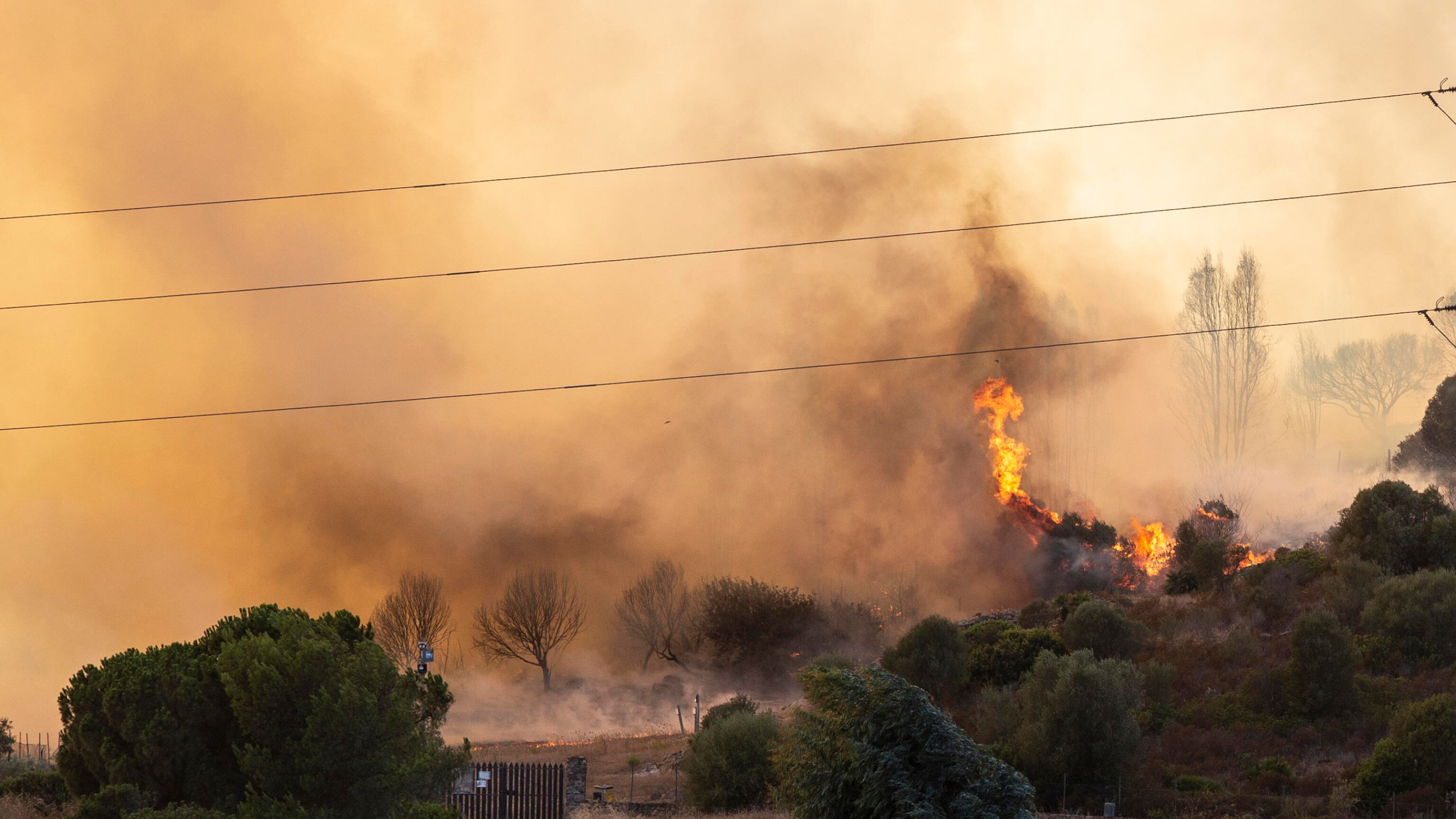 Incendi in Sardegna di origine dolosa: è caccia ai piromani