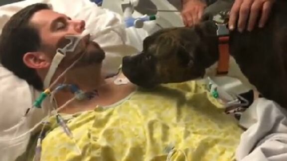 Il cane dà l'ultimo saluto al padrone in fin di vita. E il video commuove tutti