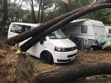 Veneto colpito dal maltempo: alberi sradicati in un campeggio 5