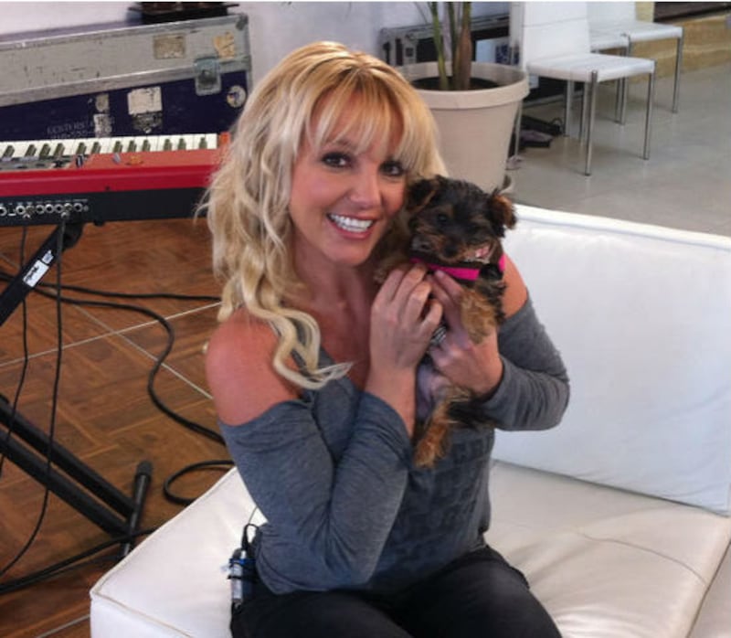 Britney Spears, le foto più belle 22