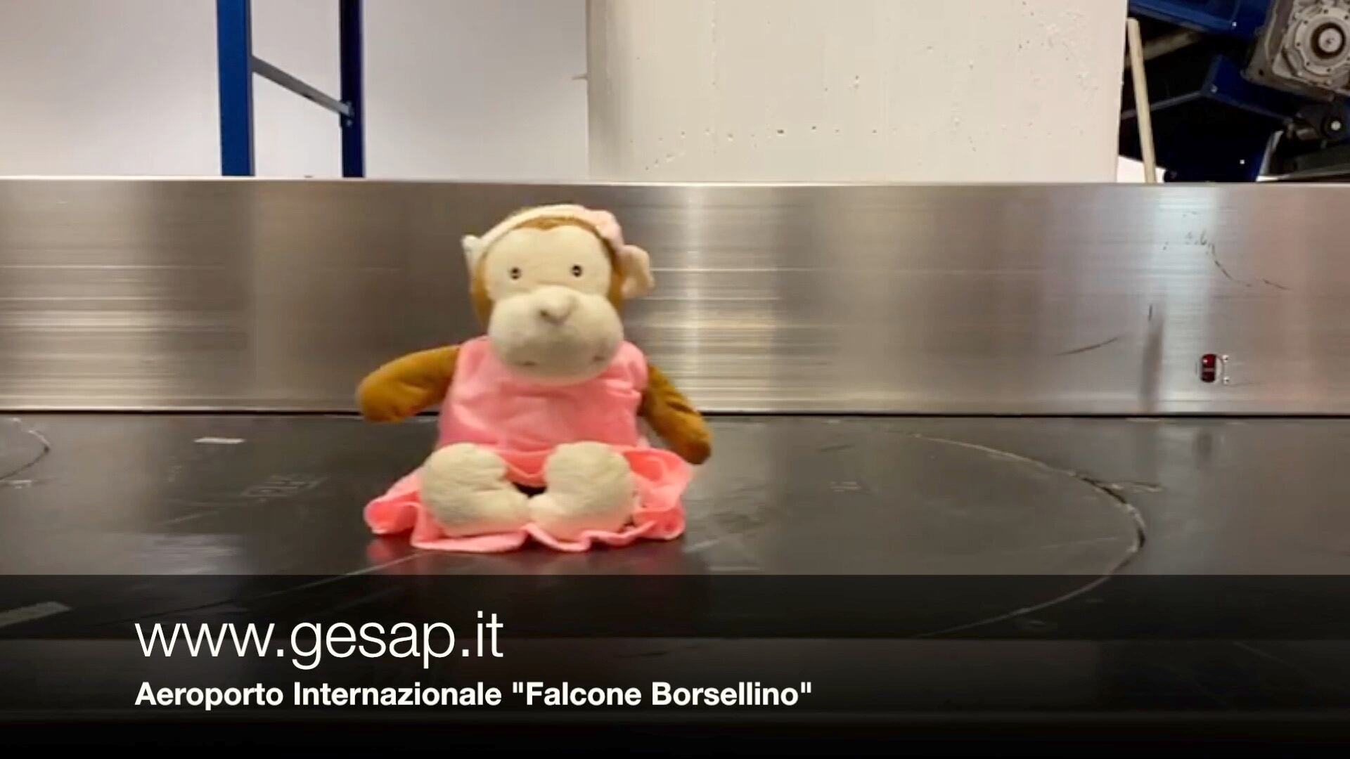 "Torna a prendermi" La tenera campagna per i peluche smarriti