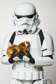 I personaggi di Star Wars per l'adozione degli animali 15
