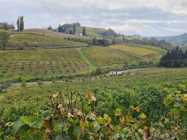 Langhe e Roero, le terre del Barolo e del Barbaresco 4