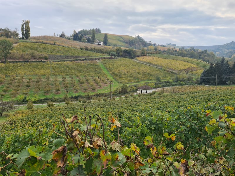 Langhe e Roero, le terre del Barolo e del Barbaresco 4