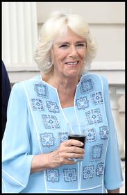 Il ricevimento per il 70esimo compleanno di Camilla 7