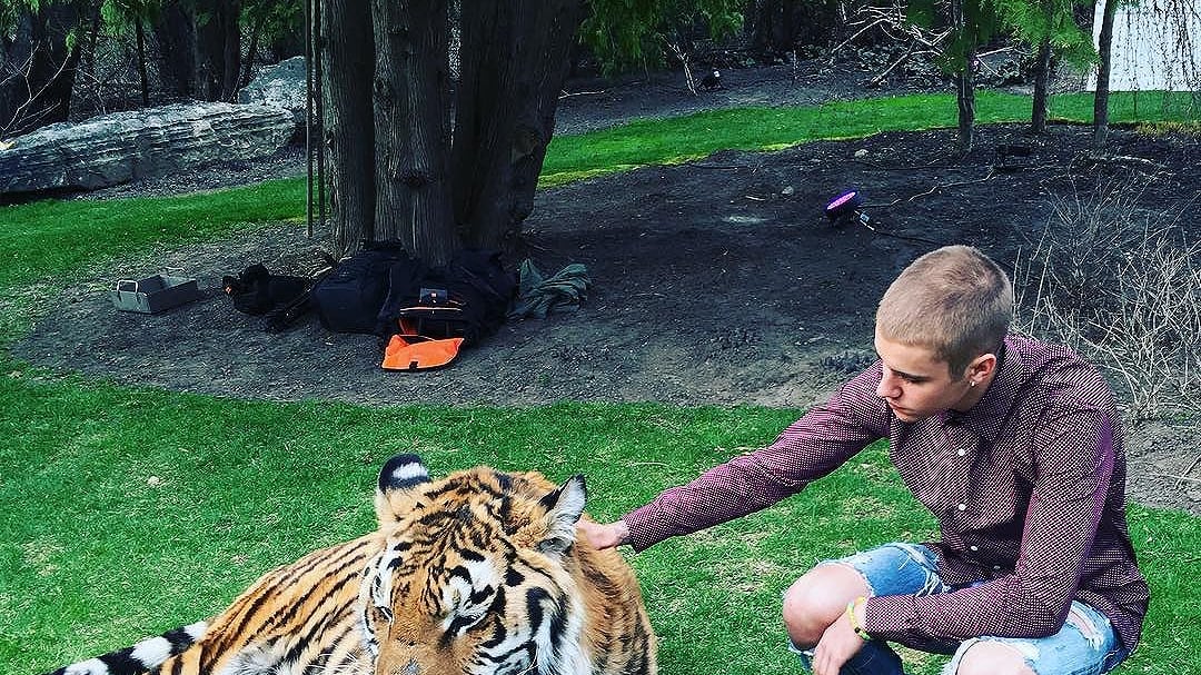 Justin Bieber posa con una tigre, PETA protesta