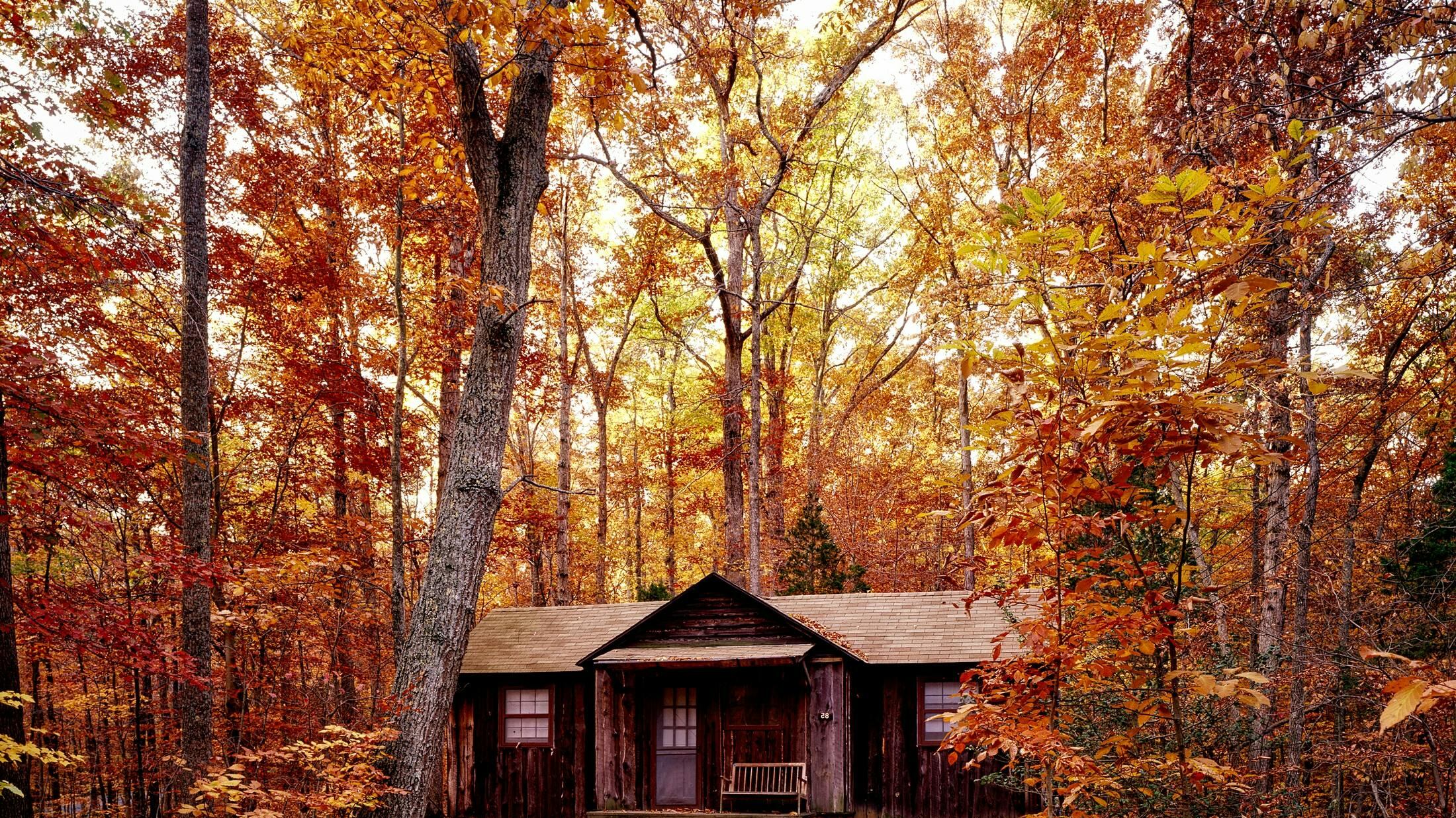 Foliage autunnale. Le mete per ammirarlo