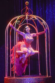 Dita Von Teese, burlesque che fa impazzire 8
