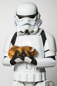 I personaggi di Star Wars per l'adozione degli animali 12