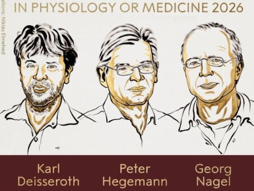 Nobel per la Medicina 2026 a Deisseroth, Hegemann e Nagel per gli studi sull’optogenetica e gli “interruttori delle emozioni”
