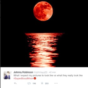 L'eclissi di superluna, foto e impressioni 15