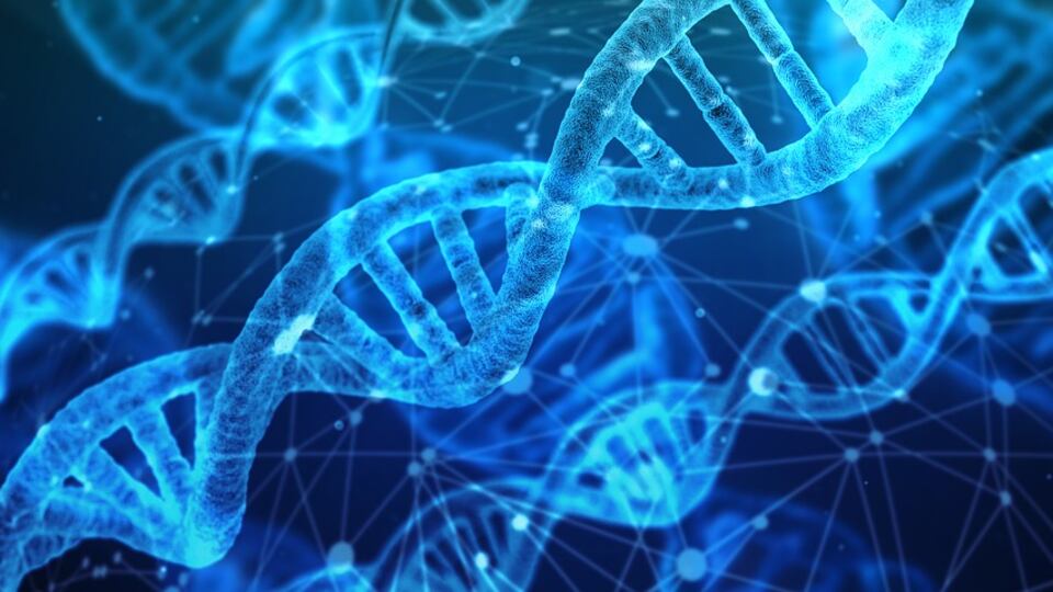 Esami del sangue e anticorpi coniugati: le nuove frontiere della lotta ai tumori