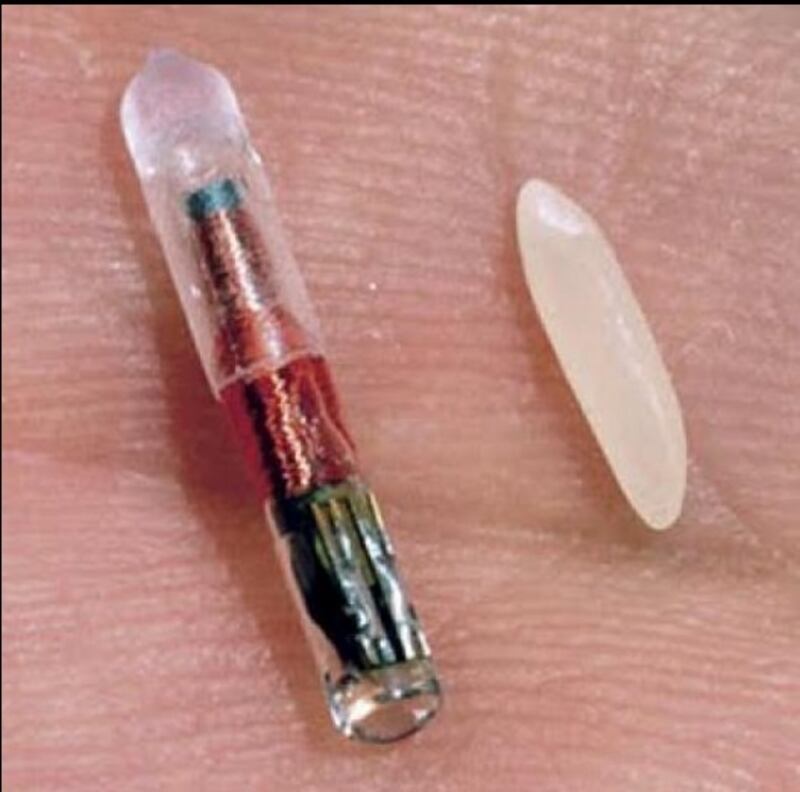chip Rfid