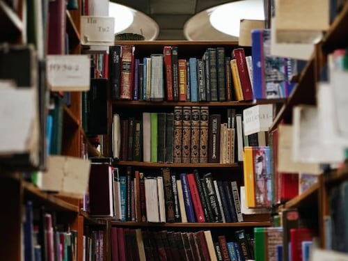 L'AI di Meta ruba libri. È giusto o è sbagliato?
