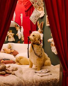 La magia del Natale arriva a Milano a "Palazzo Magia" 10