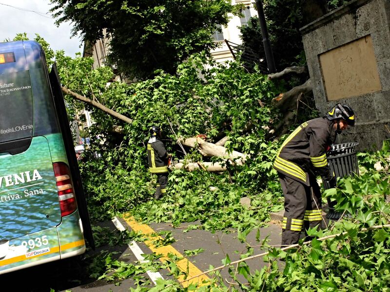 Milano, albero cade sull'autobus 6