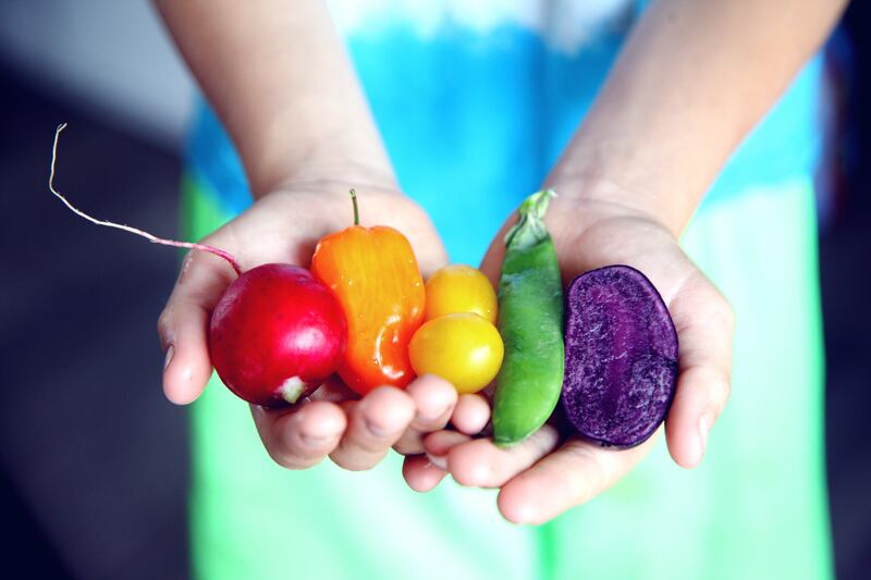 cibo sano